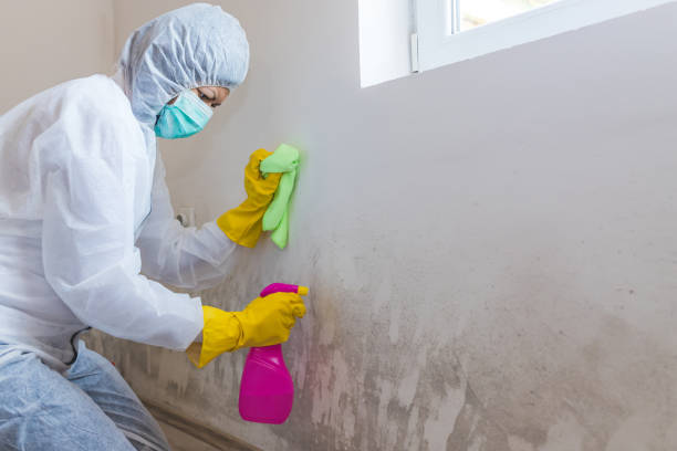 Best Airborne Mold Testing in Glenmont, MD